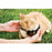 Katzenhalsband PetSafe Prf-3004xw-20