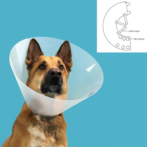 Hunde-Halskrause KVP Quick Fit Durchsichtig (27-31 cm)