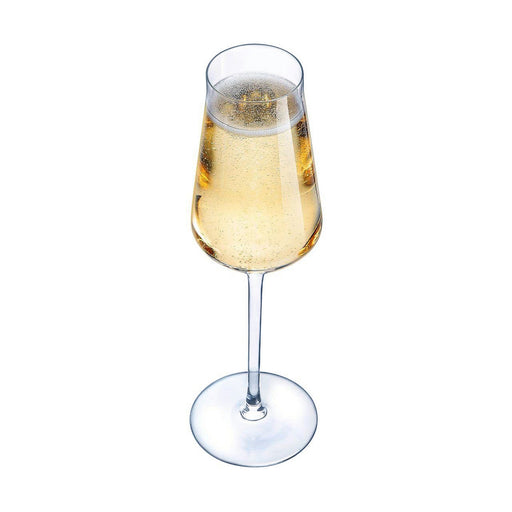 Champagnerglas Chef & Sommelier Durchsichtig Glas (21 cl)