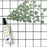 Anti-Geruchs-Haarspray Phyto Paris Phytodetox Erfrischend (150 ml)