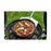 Pizza spatel Fackelmann Pizza 30,6 x 90 x 3 cm Braun