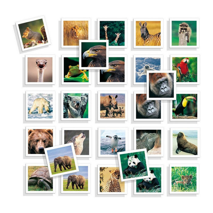 Lernspiel Diset Memo Photo Animales 54 Stücke
