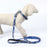 Hundehalsband Stitch Dunkelblau