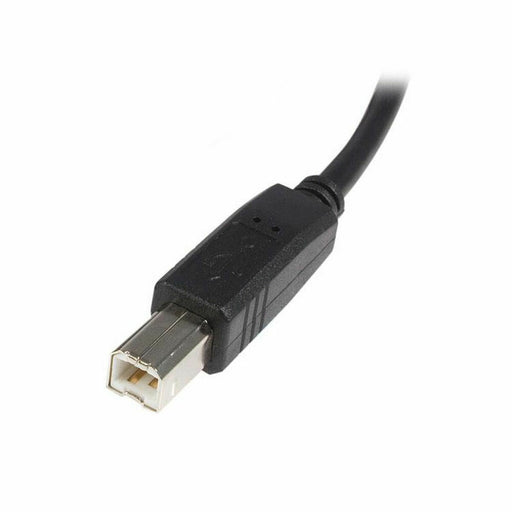 USB A zu USB-B-Kabel Startech USB2HAB3M            Schwarz