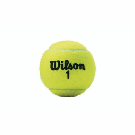 Tennisbälle Wilson Championship XD  (3 pcs)