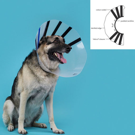 Hunde-Halskrause KVP EZ Clear (16-19 cm)