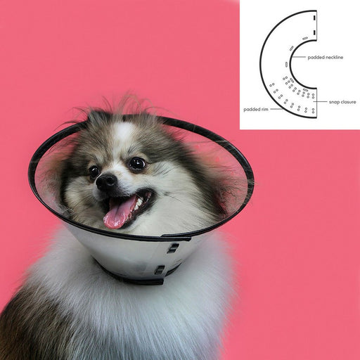 Hunde-Halskrause KVP Saf-T-Clear Durchsichtig (15-23 cm)