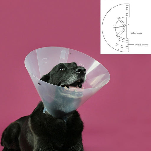 Hunde-Halskrause KVP Betsy Durchsichtig (22-26 cm)