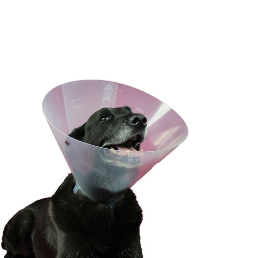 Hunde-Halskrause KVP Betsy (33-40 cm)
