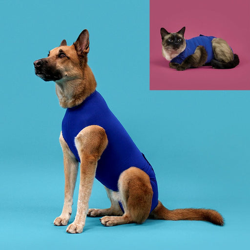 T-Shirt zur Genesung von Haustieren KVP Blau 25-29 cm