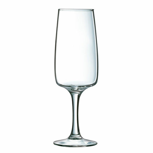 Champagnerglas Luminarc Equip Home Durchsichtig Glas (17 CL)