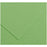 Pappe Iris Apple grün 50 x 65 cm
