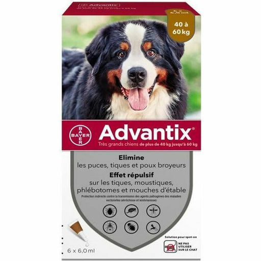 Hundepipette Advantix 40-60 Kg