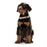 Hundehalsband Hunter Alu-Strong L Dunkelblau (45-65 cm)