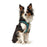 Hundegeschirr Hunter Hilo Comfort 55-60 cm Turquoise M