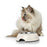 Futternapf für Hunde Hunter Melamine Edelstahl Weiß 160 ml (14,5 x 14,5 x 7 cm)