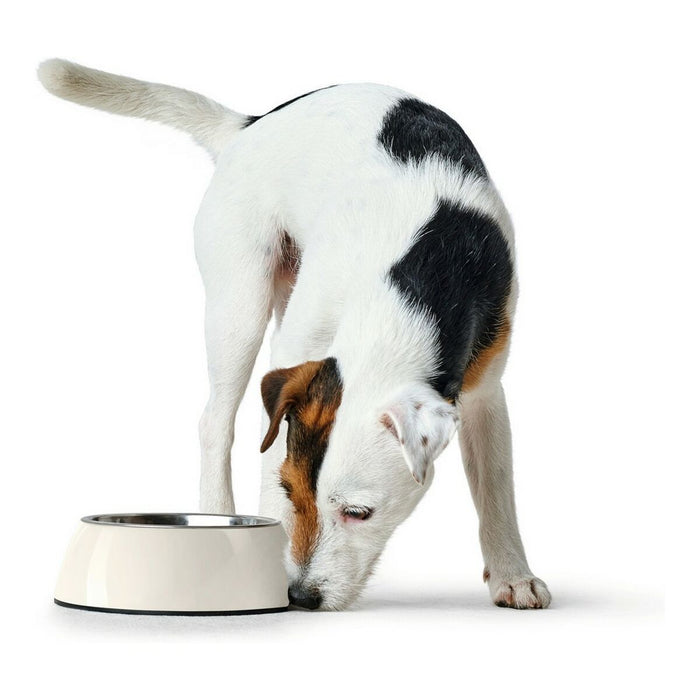 Futternapf für Hunde Hunter Melamine Edelstahl Weiß 350 ml (18,5 x 18,5 x 9,5 cm)