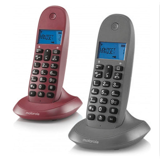 Kabelloses Telefon Motorola C1002 (2 pcs)