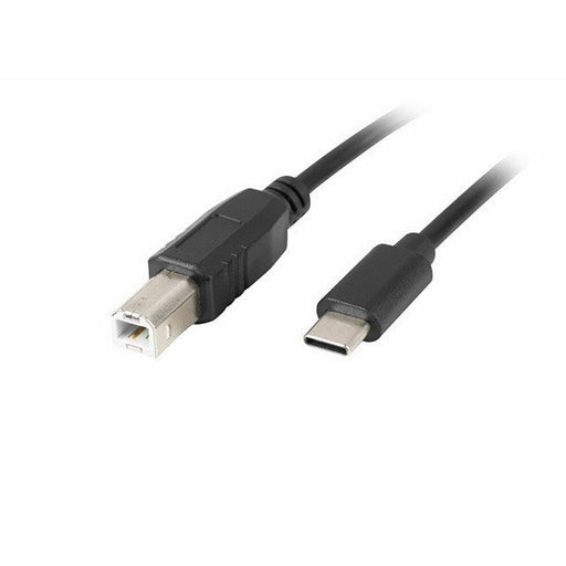 Kabel USB C Lanberg CA-USBA-13CC-0030-BK 3 m Schwarz