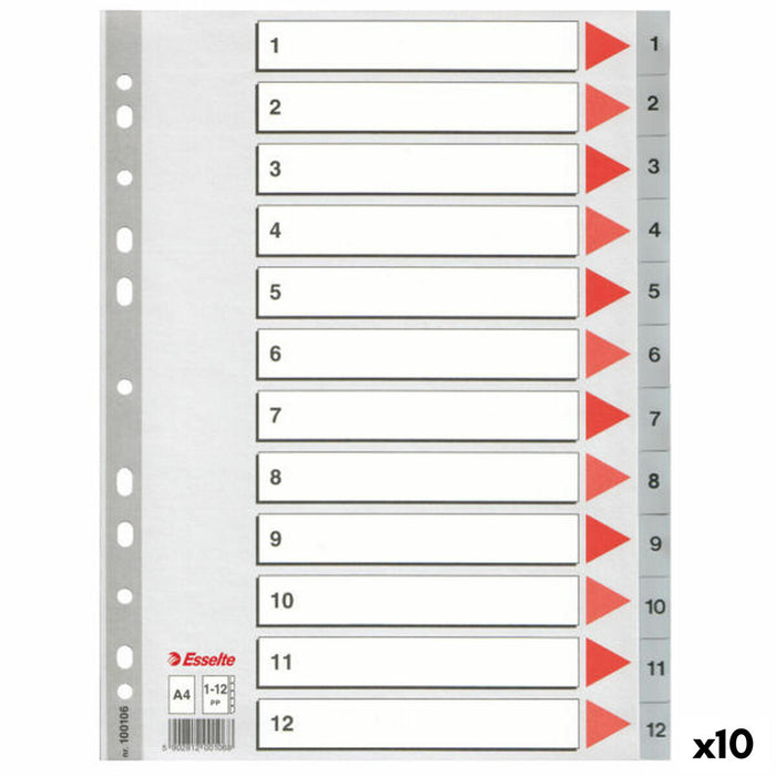Distanzstücke Esselte Grau A4 12 Blatt Nummeriert (10 Stück)