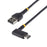 USB C zu USB-B-Kabel Startech R2ACR Schwarz