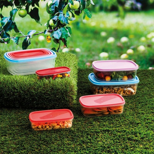 5 Lunchbox-Set Quid Habitat Kunststoff
