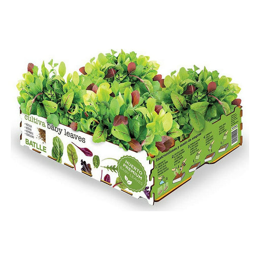 Pflanzset Batlle Baby Leaves Salate 40 x 29 x 10,5 cm 2,6 Kg