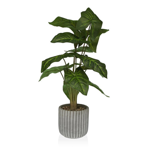 Dekorationspflanze Versa 15 x 53 x 15 cm Zement Kunststoff