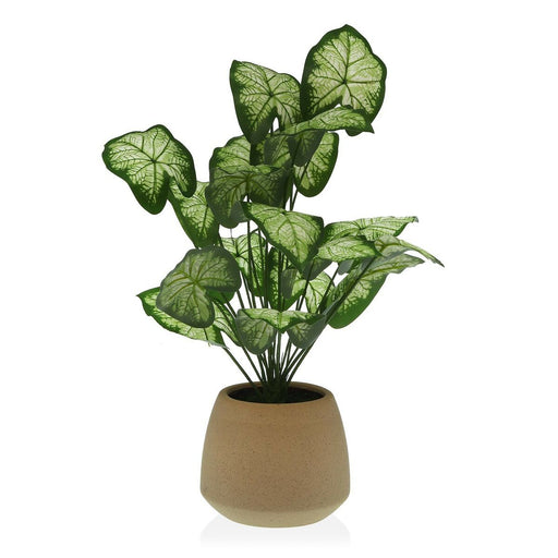 Dekorationspflanze Versa 15 x 52 x 15 cm Zement Kunststoff