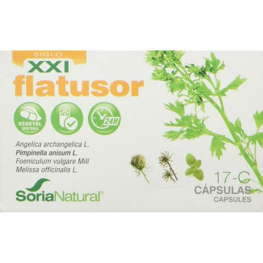 Tabletten Flatusor 17 C Soria Natural (Restauriert A+)
