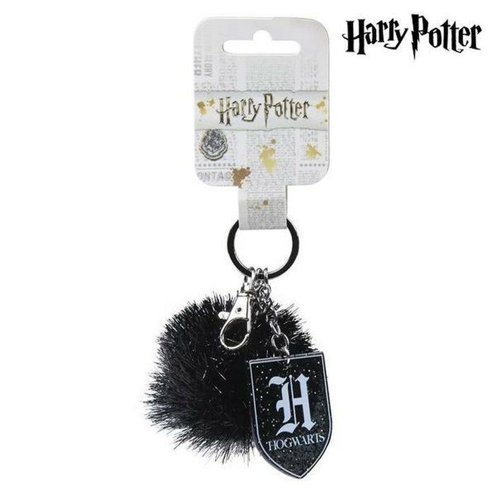 Schlüsselanhänger Harry Potter 75100