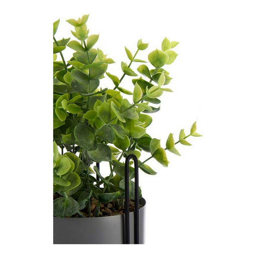 Dekorationspflanze Grau Eukalyptusbaum Mit Unterstützung Metall Kunststoff (13 x 40 x 13 cm)