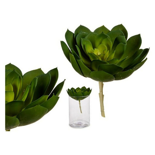 Dekorationspflanze grün Kunststoff