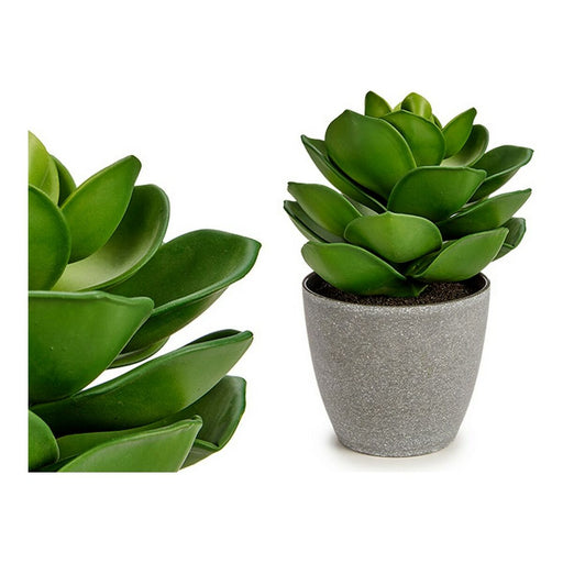 Dekorationspflanze Grau grün Kunststoff (16 x 20 x 16 cm)