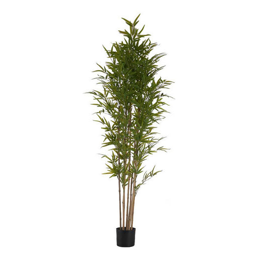 Dekorationspflanze Bambus Kunststoff Eisenkabel 80 x 180 x 80 cm