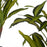 Dekorationspflanze Breite Klinge grün Kunststoff (60 x 90 x 60 cm)