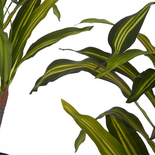 Dekorationspflanze Breite Klinge grün Kunststoff (60 x 90 x 60 cm)