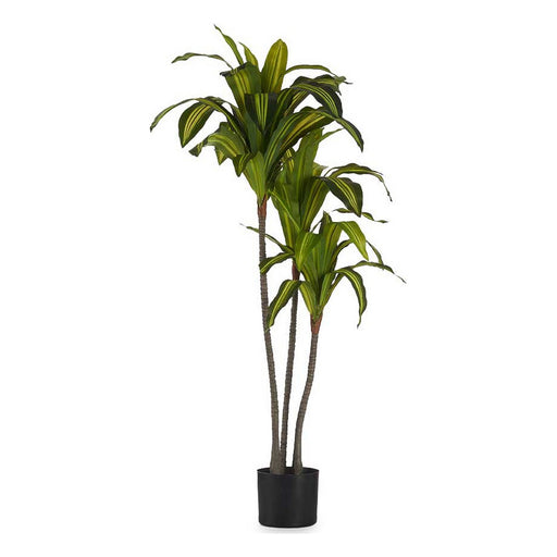Dekorationspflanze Breite Klinge grün Kunststoff (70 x 120 x 70 cm)