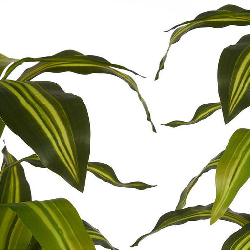 Dekorationspflanze Breite Klinge grün Kunststoff (70 x 120 x 70 cm)