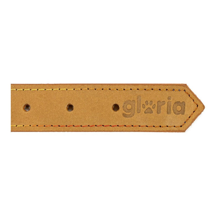 Hundehalsband Gloria Oasis Gelb 70 cm (70 x 3 cm)