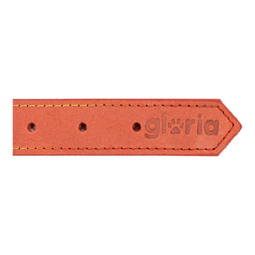 Hundehalsband Gloria Oasis Rot 70 cm (70 x 3 cm)