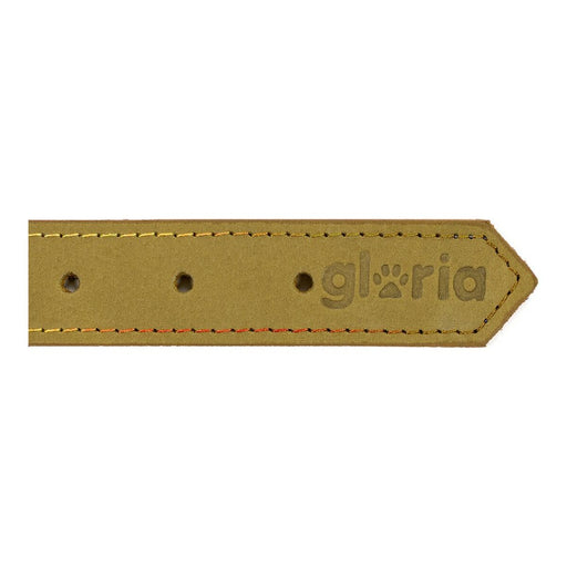 Hundehalsband Gloria Oasis grün 35 cm (35 x 1,2 cm)