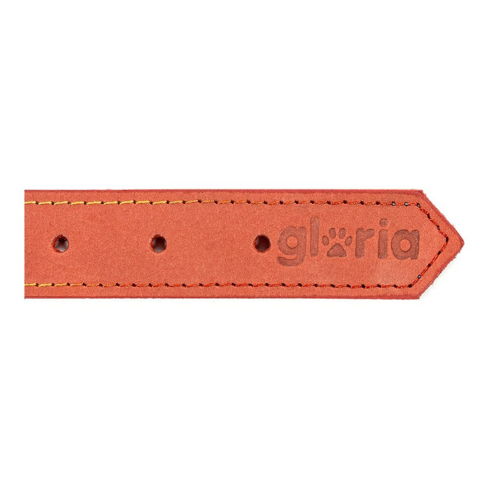 Hundehalsband Gloria Oasis Rot 60 cm (60 x 3 cm)