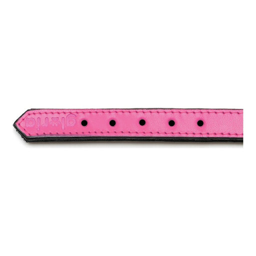 Hundehalsband Gloria Polsterung Pink 30 cm (30 x 1,5 cm)