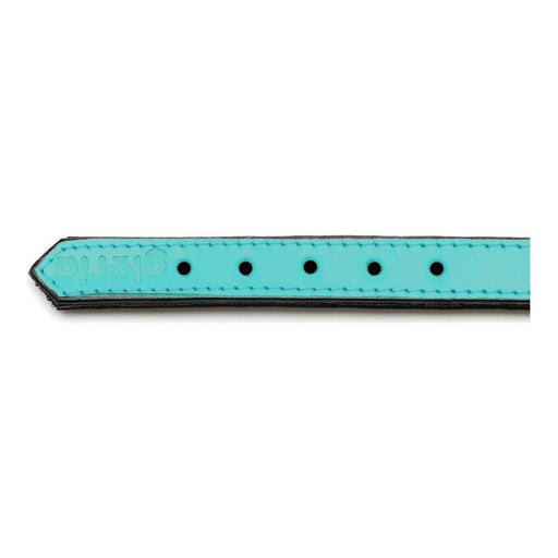 Hundehalsband Gloria Polsterung Turquoise 30 cm (30 x 1,5 cm)