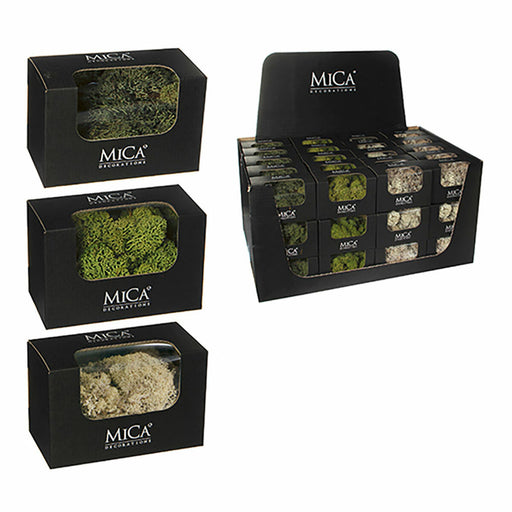 Dekorationspflanze Mica Decorations 50 g Moos