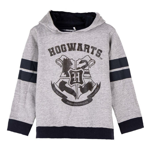 Jungen Sweater mit Kapuze Harry Potter Grau