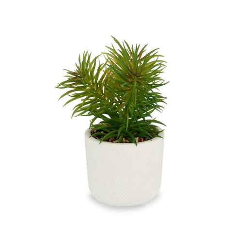 Dekorationspflanze Weiß grün (14 x 20 x 14 cm) (12 Stück)