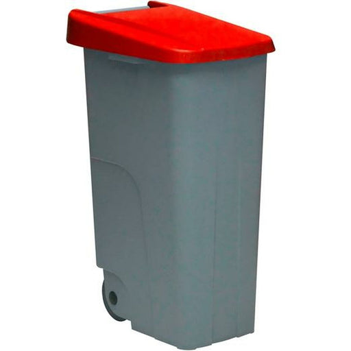 Abfallbehälter mit Rädern Denox Grau Rot 110 L